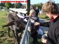 Feeding the Euro-Donkey